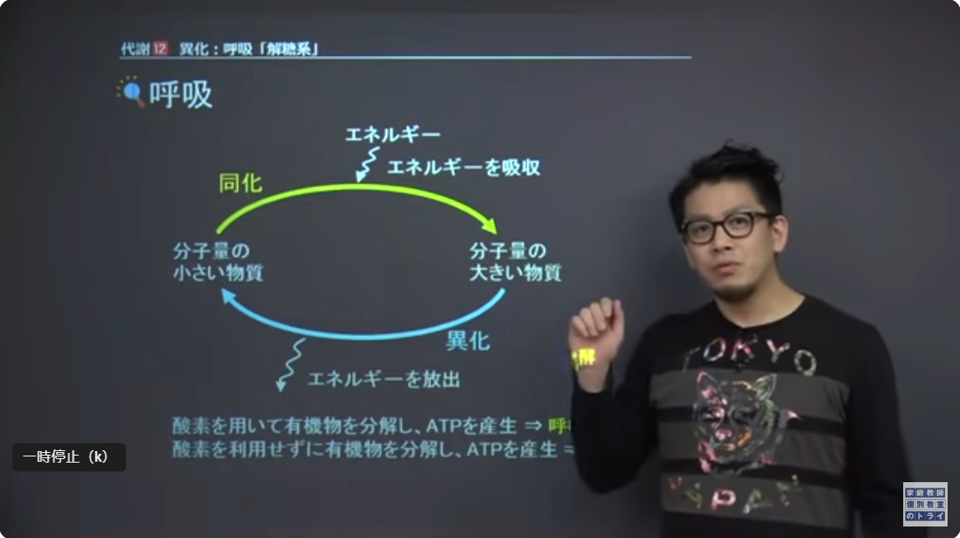 トライイット12 トライイット12