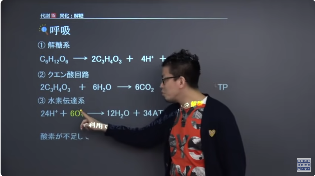 トライイット15 トライイット15