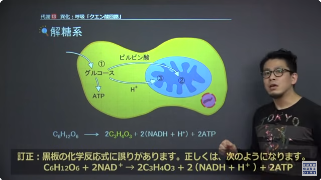 トライイット13 トライイット13