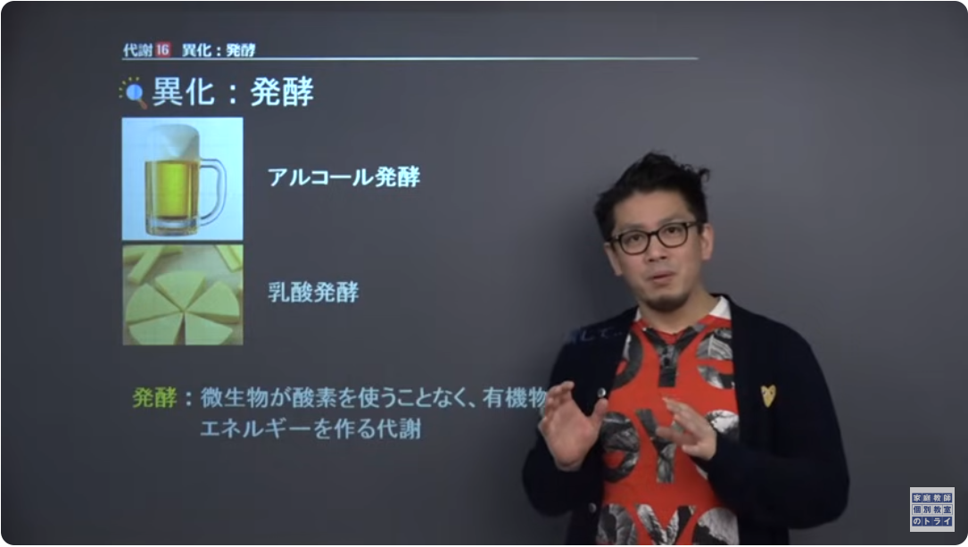 トライイット16 トライイット16