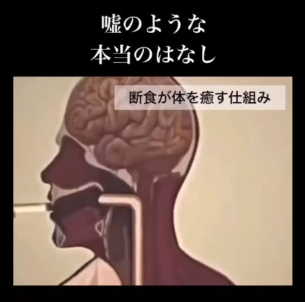 嘘のような本当のはなし