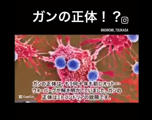ガンの正体