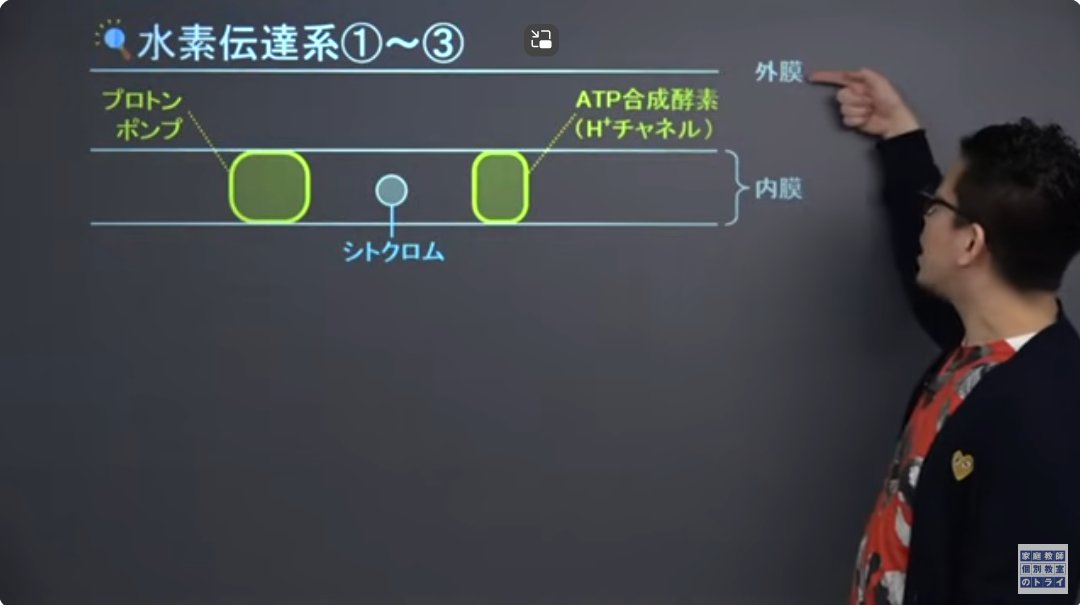 トライイット14 トライイット14